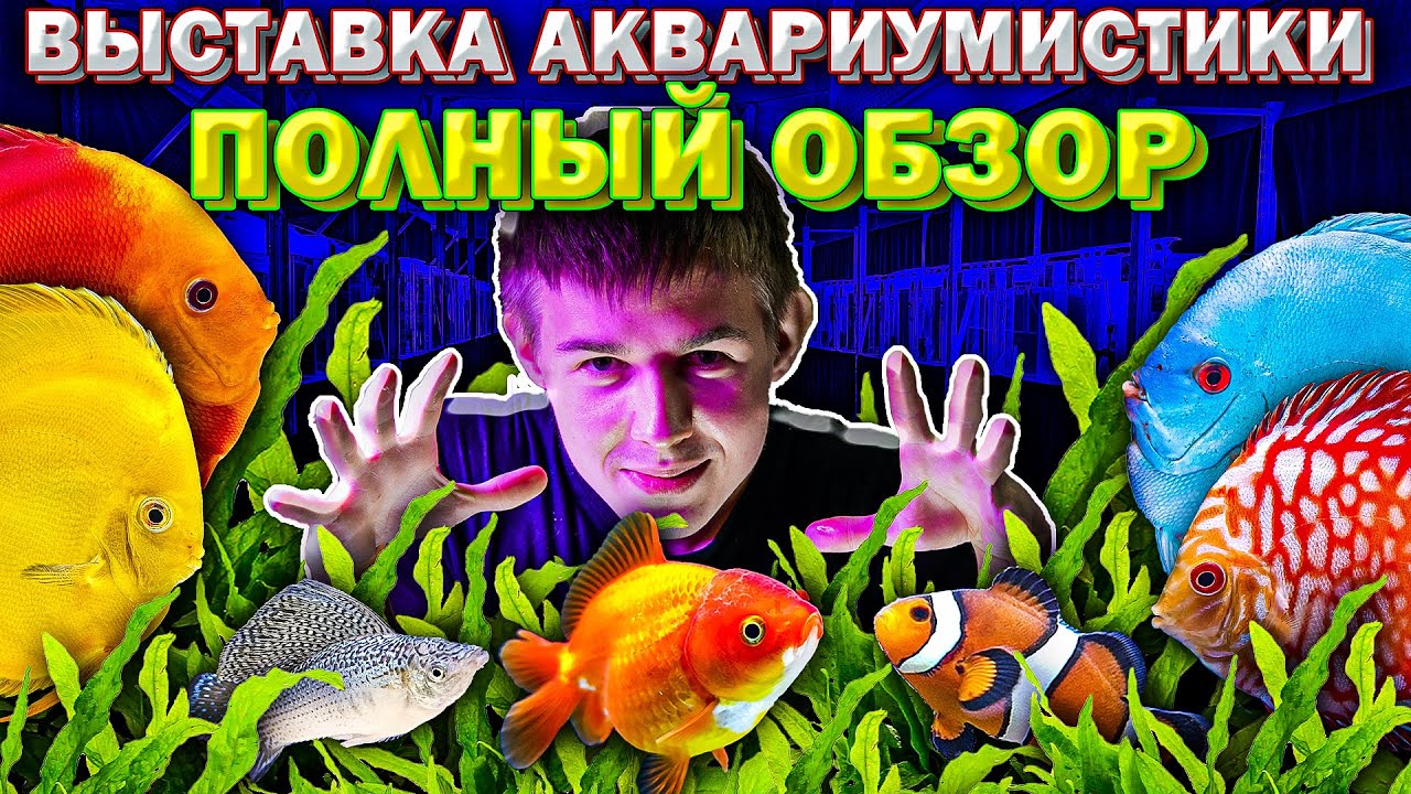 Выставка Аквариумистики 2026 ПОЛНЫЙ ОБЗОР рыбок и аквариумов!