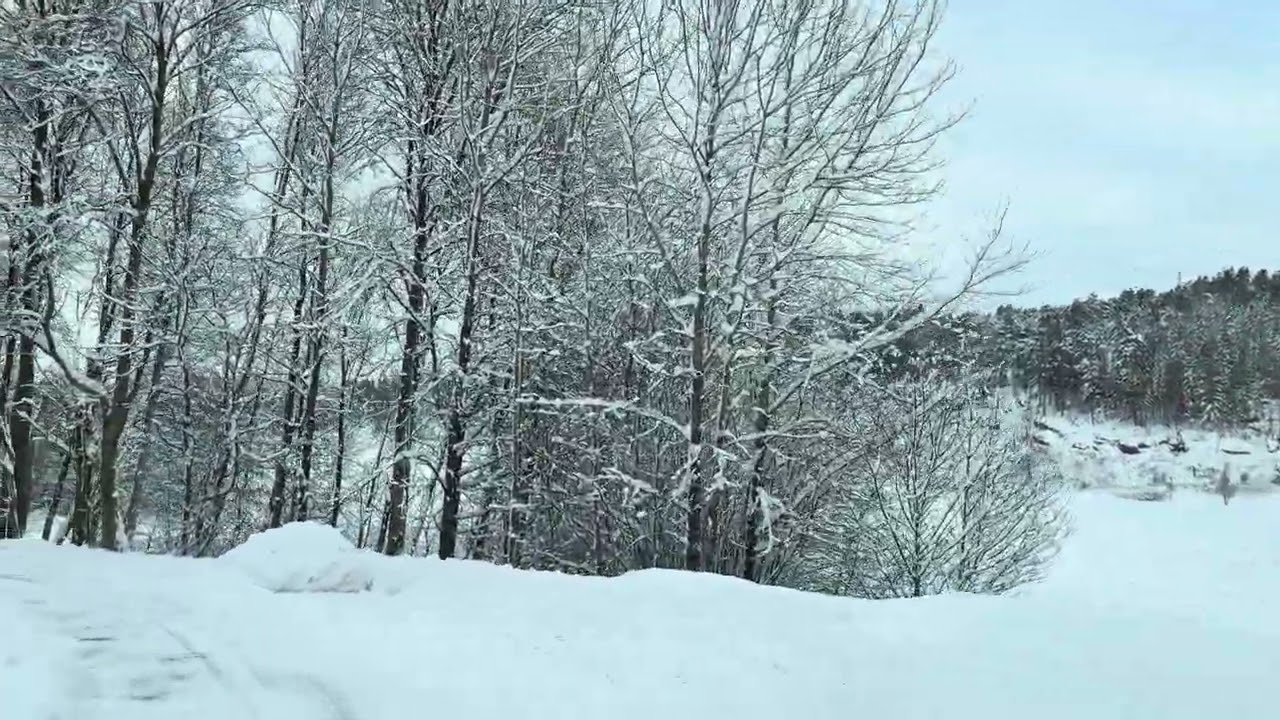 ฤดูหนาวสวีเดน หิมะปกคลุมธรรมชาติ | Winter in Sweden | Bohuslän
