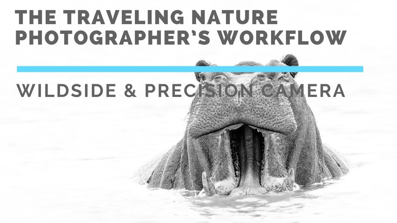 Traveling Nature Photographer's Workflow