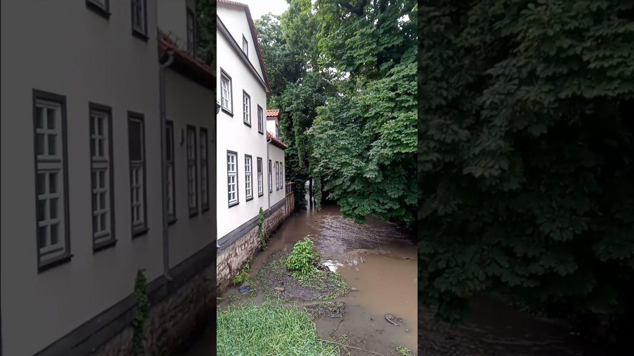 River Leine in G&ouml;ttingen (Germany): The day after Thunderstorm - June 23rd 2023  #Shorts