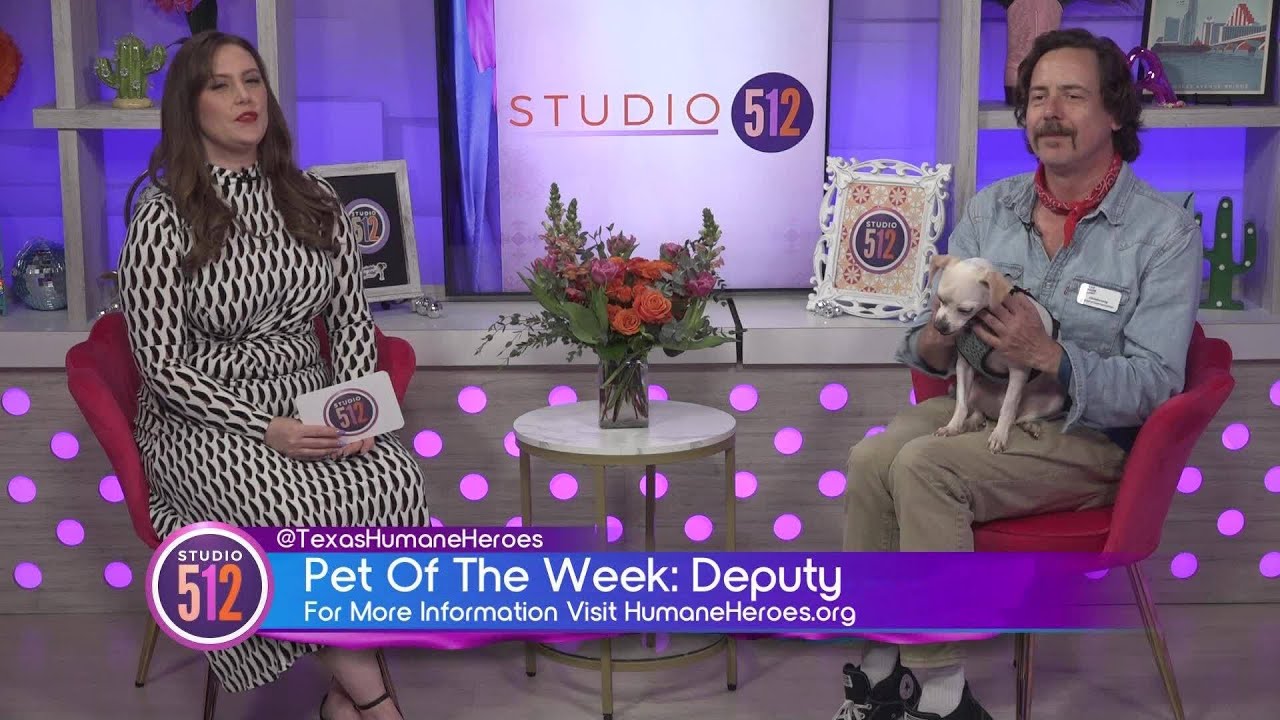 Meet Deputy: The Lovable Underbite Pup Looking for His Forever Home at Texas Humane Heroes