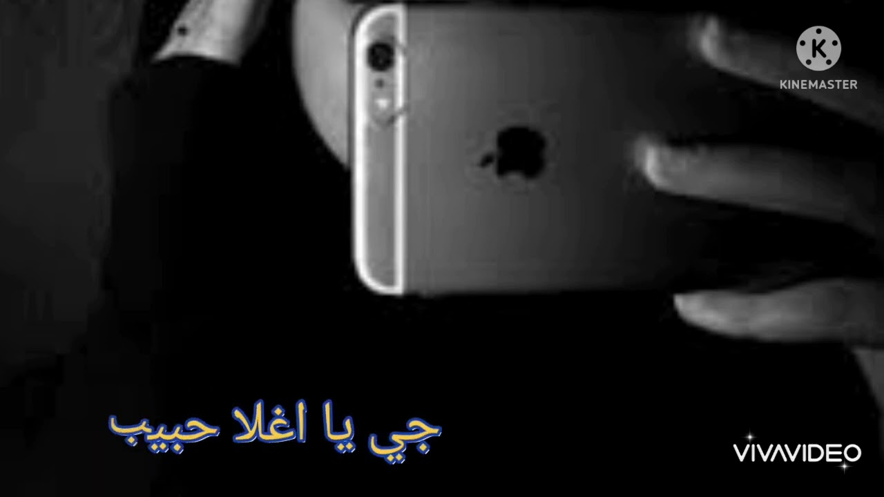 مقطع اغنيه باسم وهيب #وهيب #اغاني #شيلات