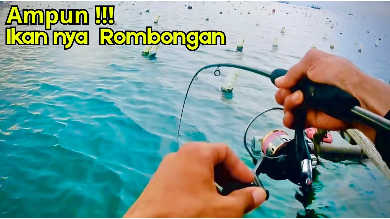 STOP !!! MANCING DIH4JAR IKAN KELAPARAN, INSIDEN BESAR PUN TERJADI LAGI !!!
