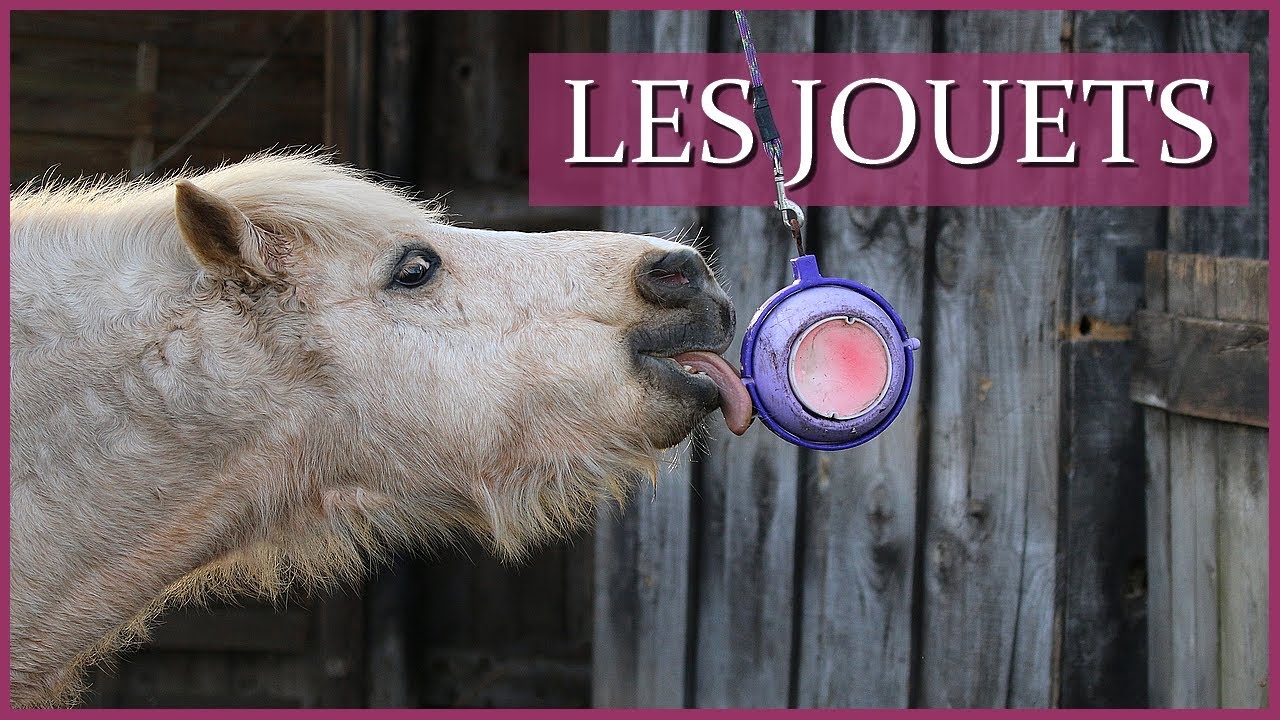 JOUETS QUAND ILS S'ENNUIENT 🍭 - La collection Likit