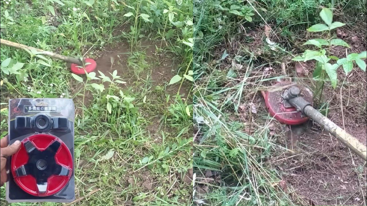 Brush cutter weeder vs tall grass