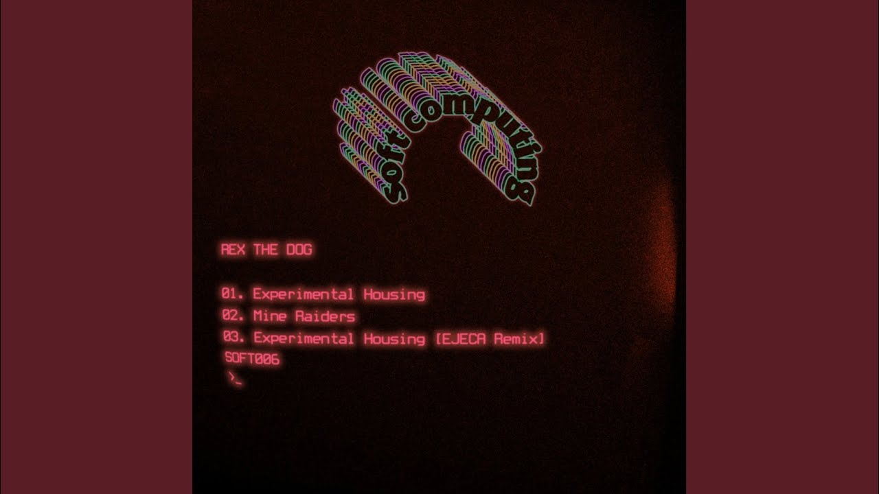 Experimental Housing (Original Mix)