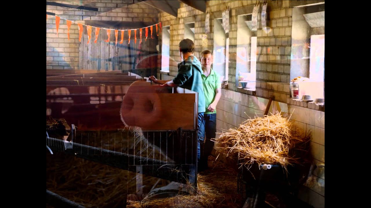 Zorghoeve de Malbergh