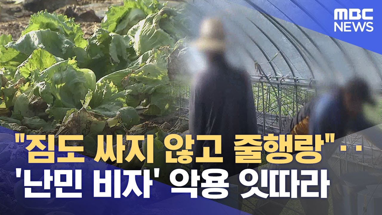 '난민 비자' 악용 사례 속출‥ 멍드는 농가 (2025.10.20/뉴스데스크/여수MBC)