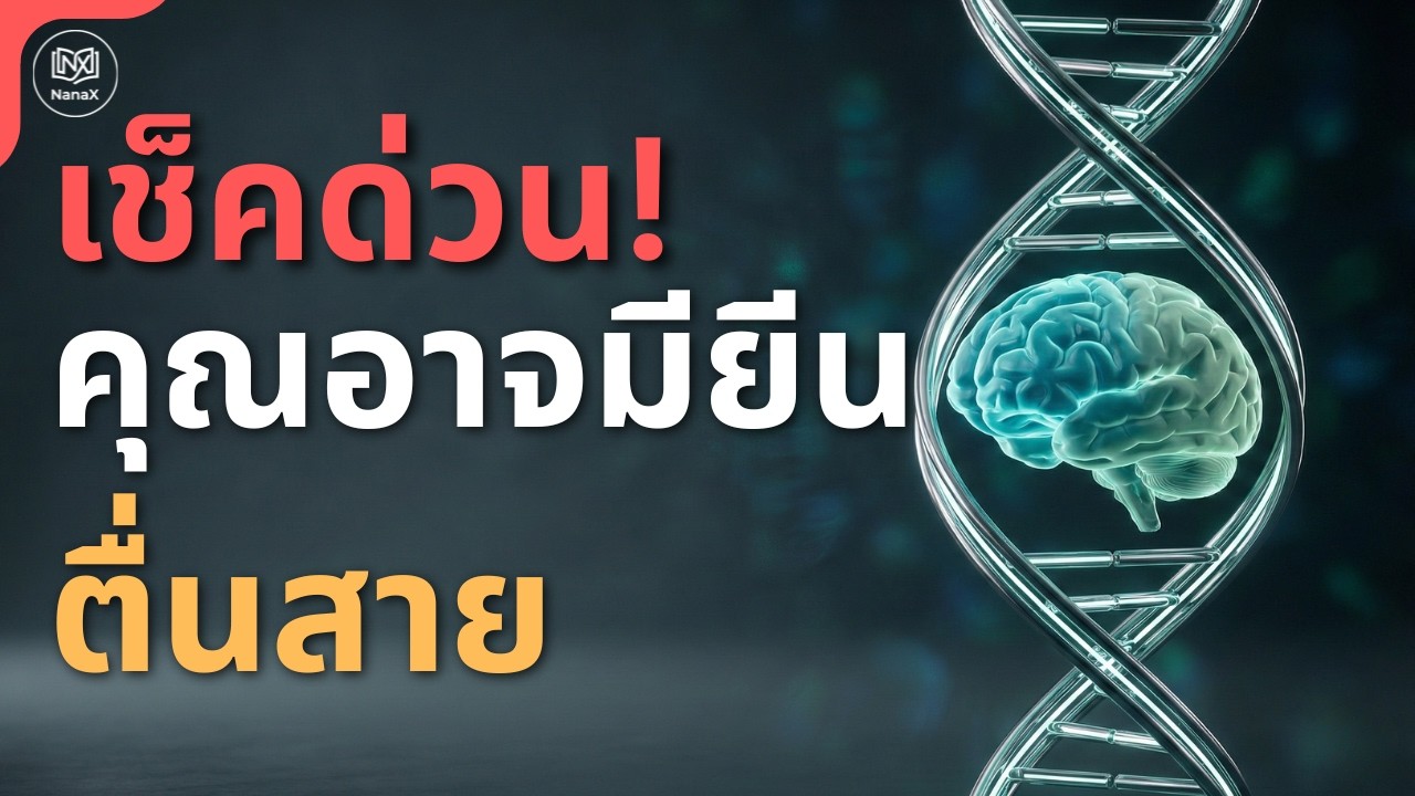 Night Owl: เมื่อ 