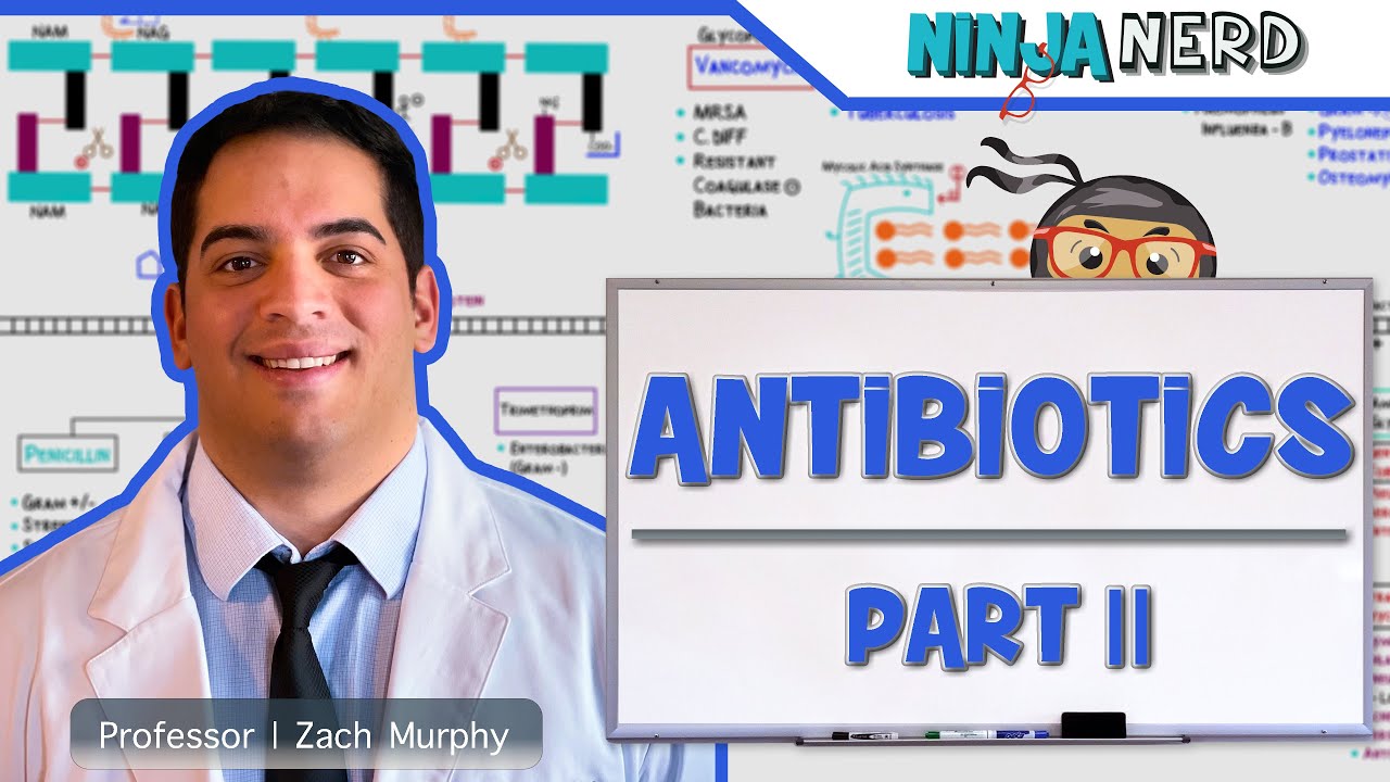 Antibiotics: Folic Acid Pathway Inhibitors: Part 2