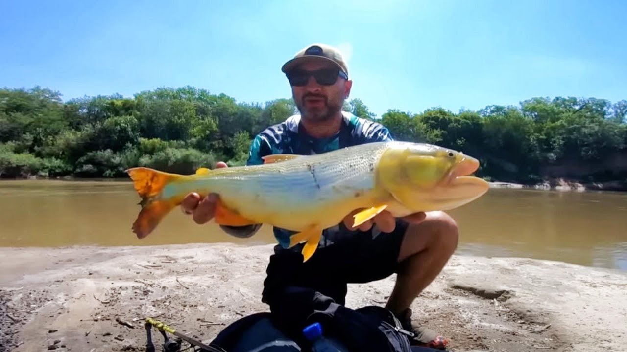 Recorro LUGAR INCREIBLE, Pesca de dorados con señuelo y senderismo. Pesca urbana