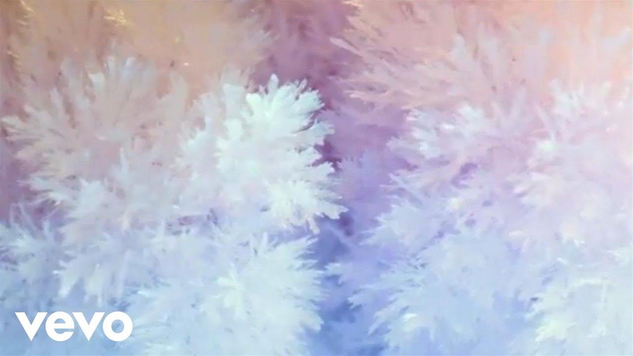 Dutch Uncles - Fester