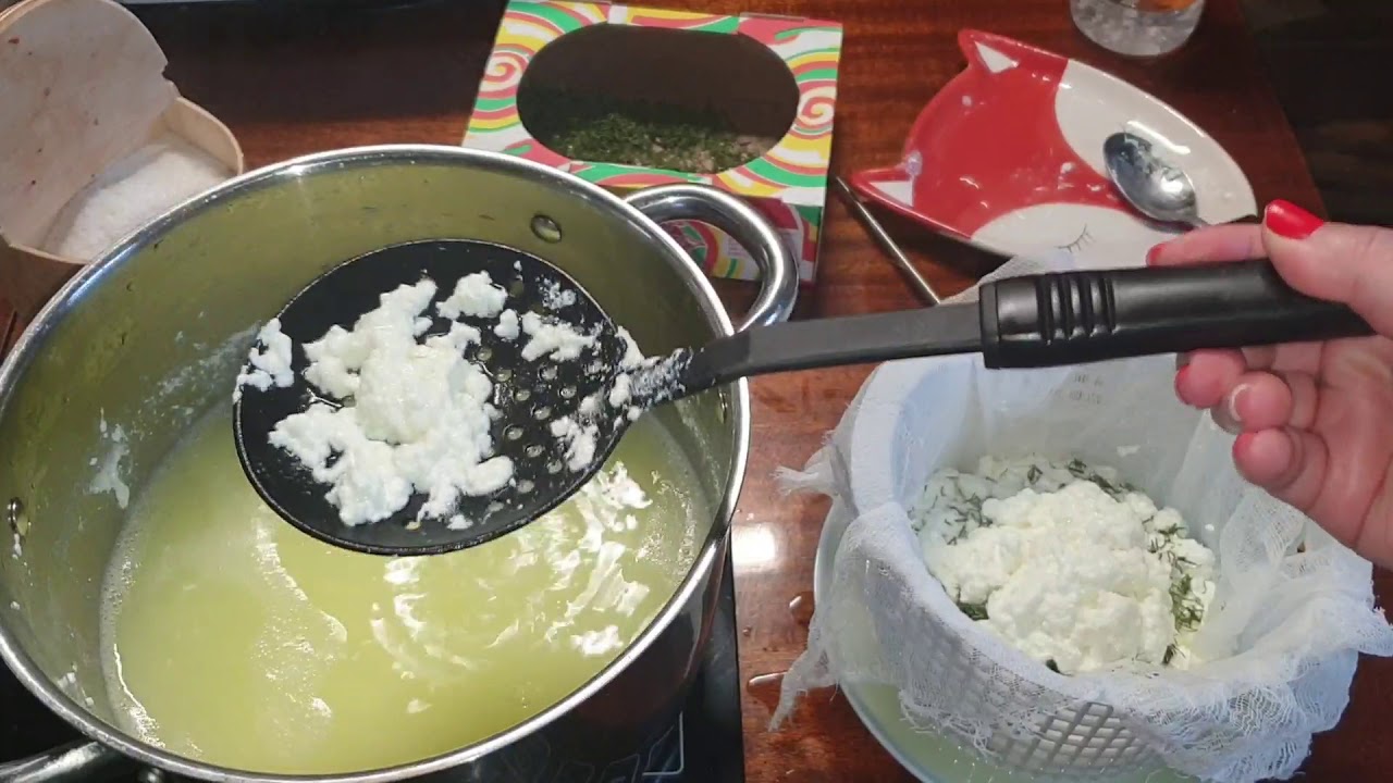 Как сварить адыгейский сыр/сыр из козьего молока с зеленью/How to cook Adyghe cheese/goat cheese