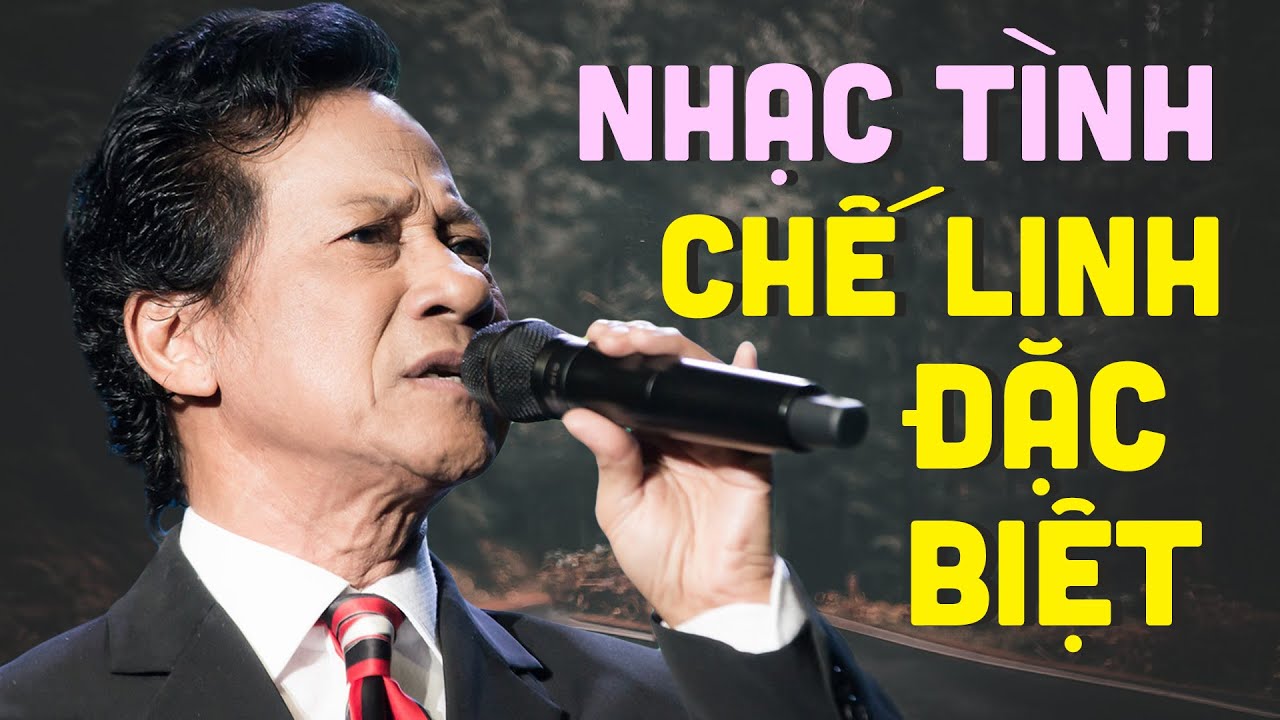 50 bài nhạc tình Chế Linh đặc biệt nghe hoài không chán
