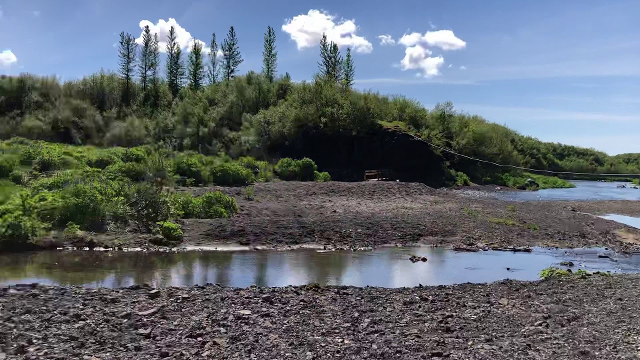 Iceland 2020: Walking through a forest in Iceland, no commentary, just nature sounds Enjoy!