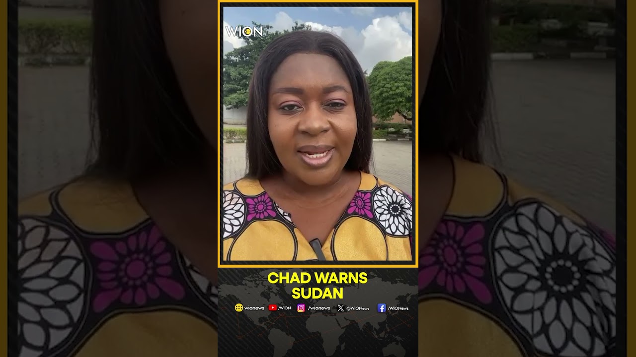 Chad Warns Sudan It Will Retaliate After Drone Strike Kills 17 | WION SHORTS