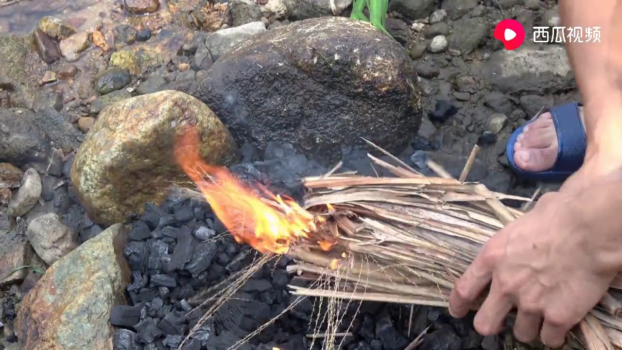 华农兄弟：这只竹鼠不喜欢吃竹子，没办法，只好拿去河边烤了