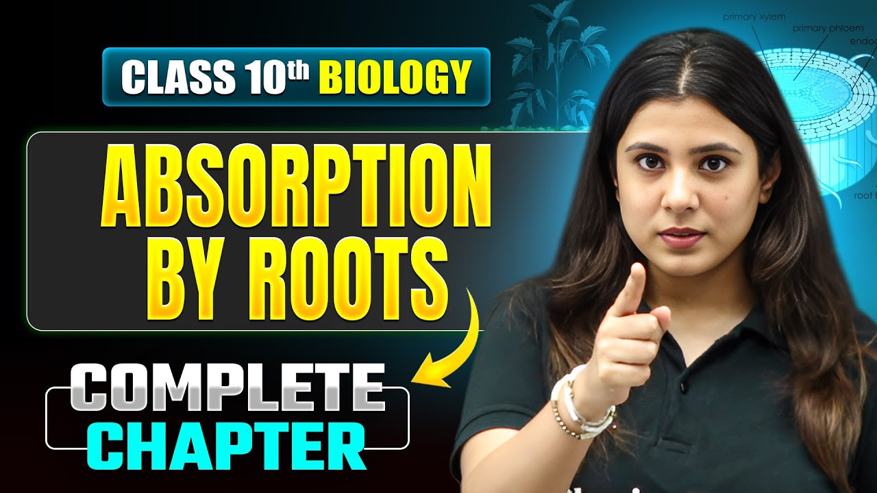 ABSORPTION BY ROOTS Complete Chapter Covered | ICSE Class 10 Biology