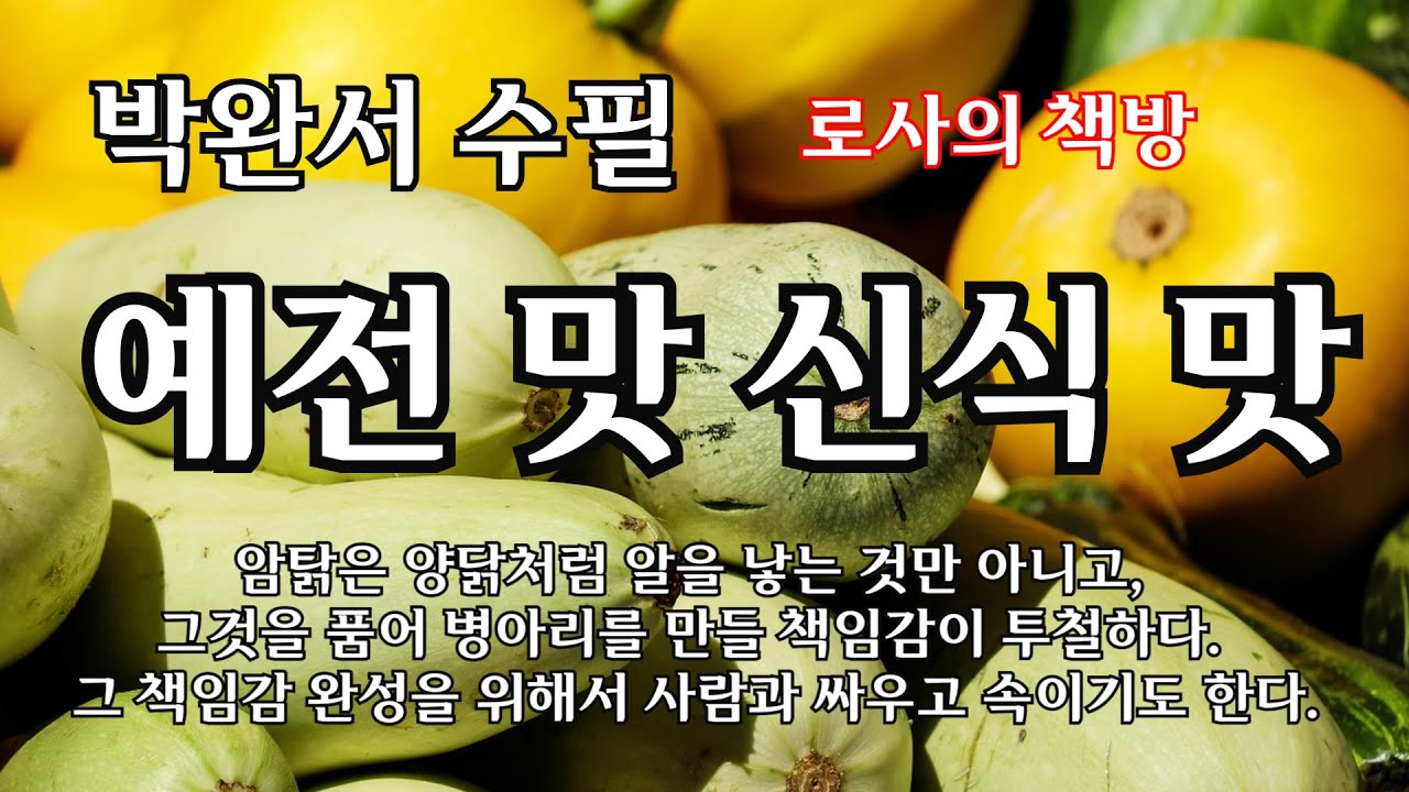 [박완서/예전 맛 신식 맛]암탉은 양닭처럼 알을 낳는 것만 아니고, 그것을 품어 병아리를 만들 책임감이 투철하다. 그래서 사람과 싸우고, 속이기도 한다