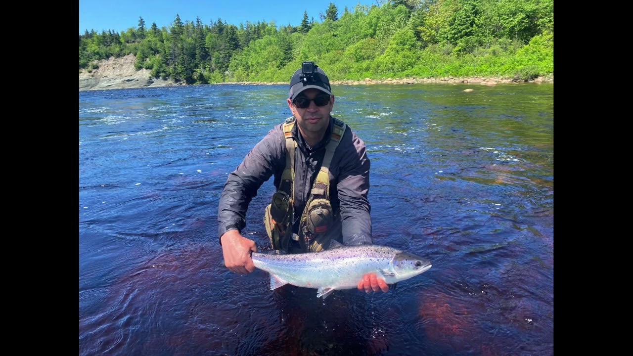Atlantic Salmon Fishing - 2023