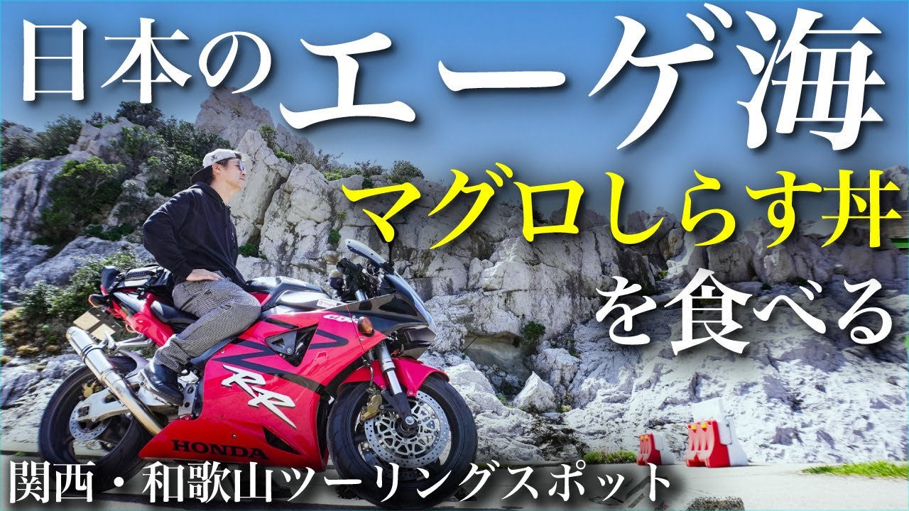 バイクで日本のエーゲ海へ日帰りソロツーリング(白崎海洋公園)/まぐろしらす丼を食う【関西・和歌山ツーリングおすすめスポット】#ツーリング #モトブログ