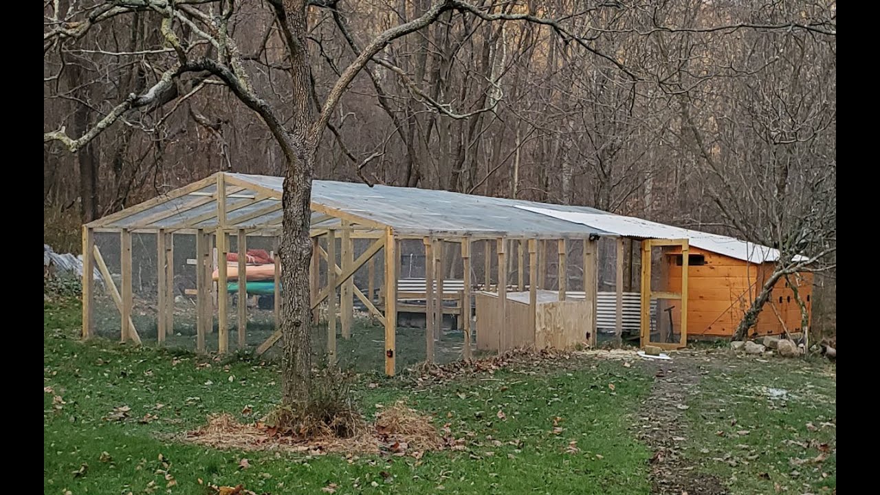 Duck coop and pen design