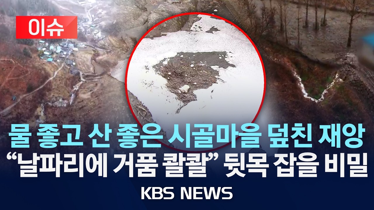 [이슈] 물 좋고 산 좋은 시골마을 덮친 재앙 