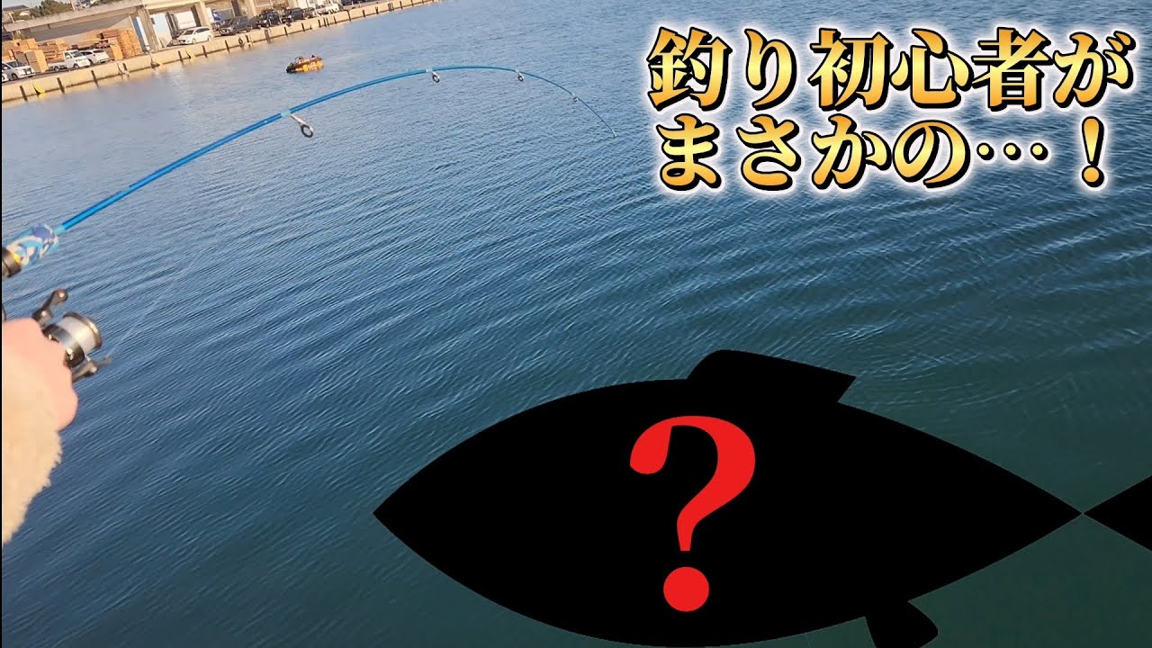 初めての海釣りで、まさかの〇〇…！ #釣り  #料理  #初投稿 