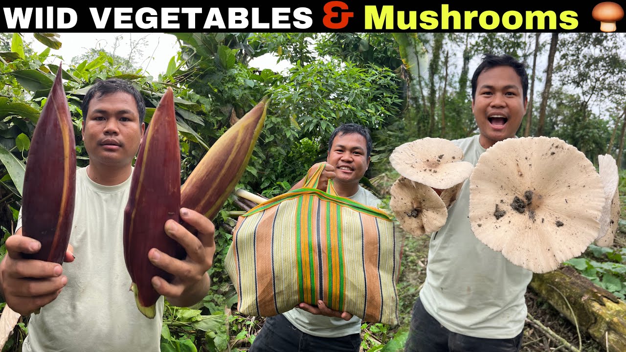 Foraging Wild Vegetables with My Wife in the Jungle | Wild Vegetables and Mushrooms