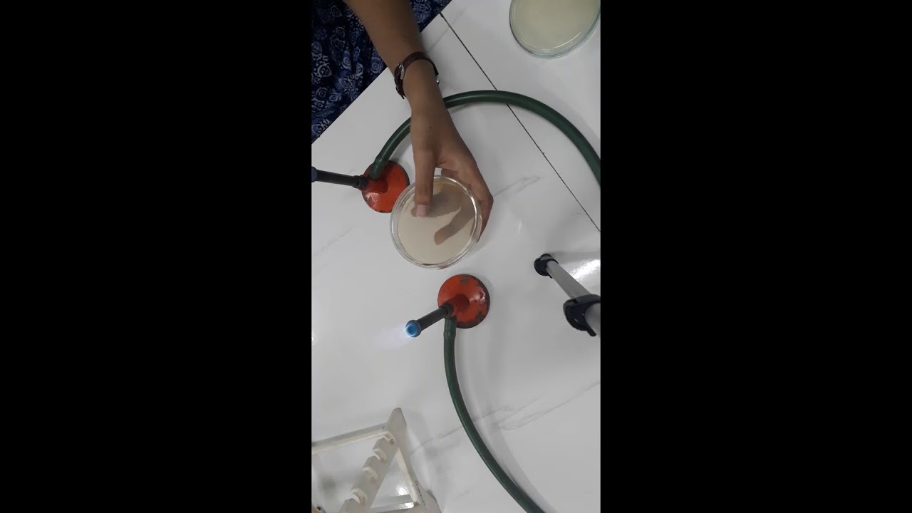 crowded plate technique