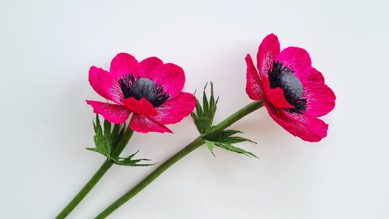 How To Make Anemone Paper Flower / Paper Flower / Góc nhỏ Handmade