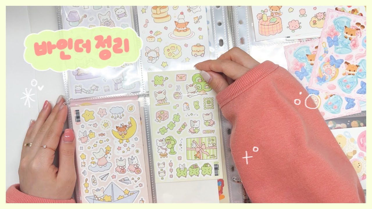 뉴바인더 개시 🎈 사이즈 딱딱 맞는 바인더 정리