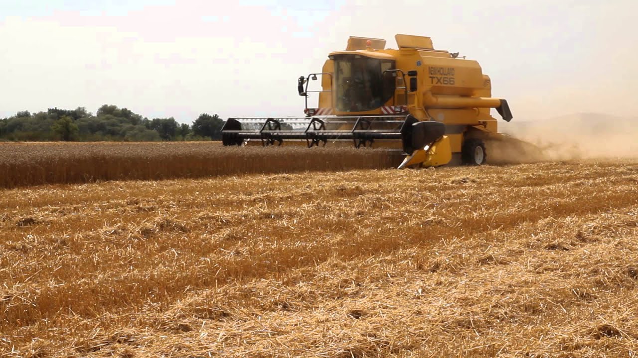 8.8.2013 - Dobřany - New Holland TX66 + Case IH 7120 #2