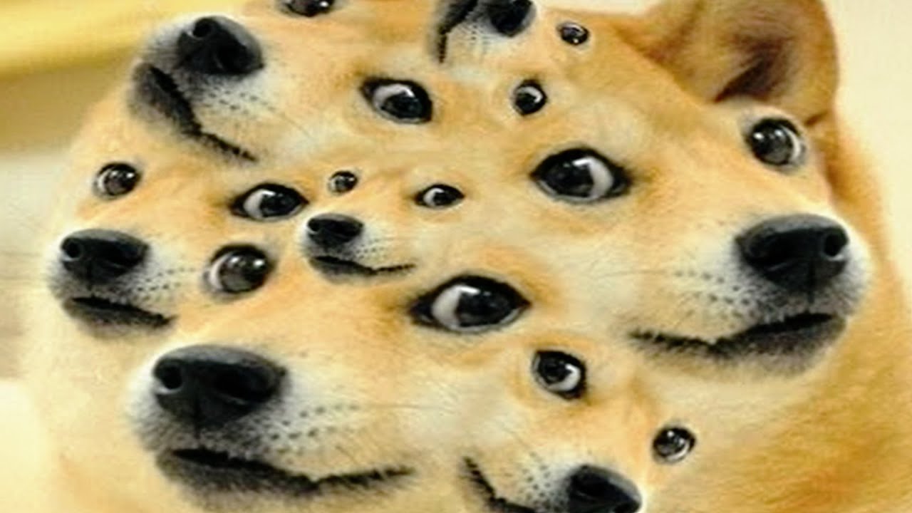 QUEL CHIEN ÊTES-VOUS ?