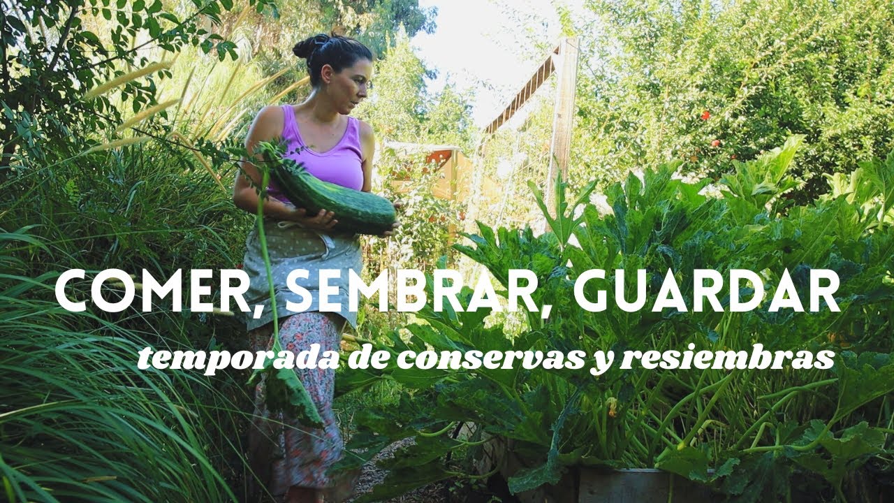Levantar el Tablero | Comer, Sembrar y Guardar (La huerta en Febrero)