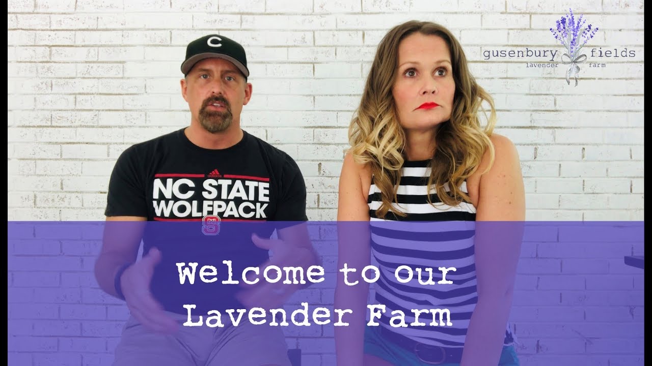 Watch us Start a Lavender Farm from Scratch!