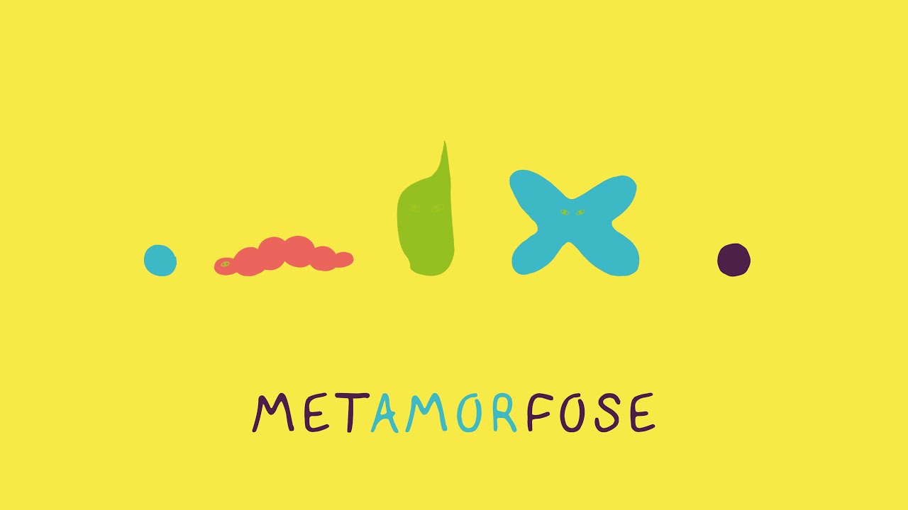 FLECHA 3 - METAMORFOSE