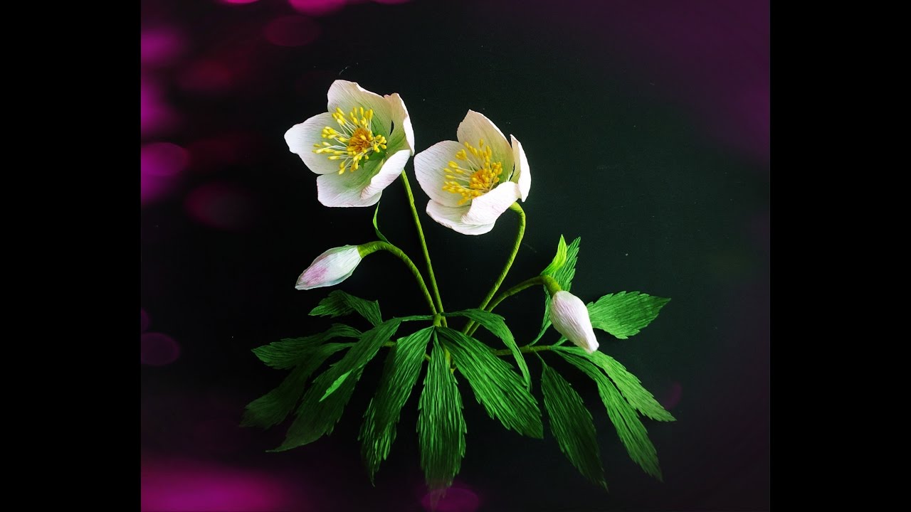How To Make Christmas Rose From Crepe Paper - Craft Tutorial