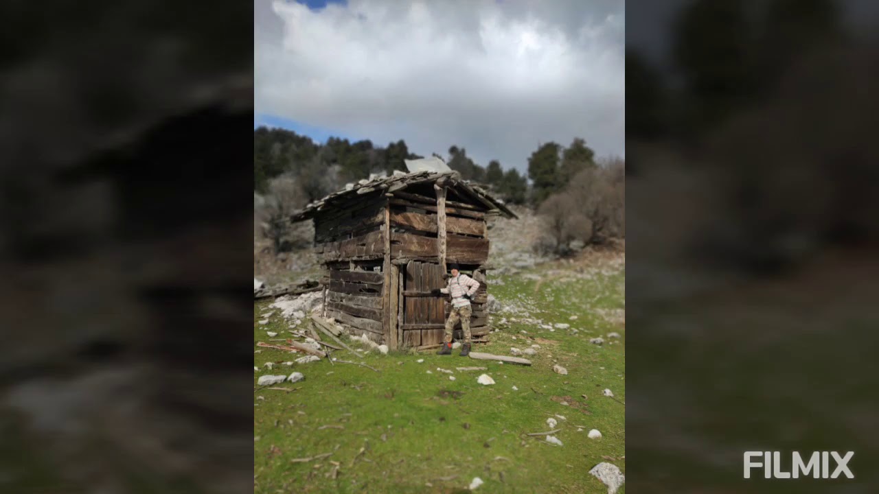 BOLASAN YAYLASI (YALAK )