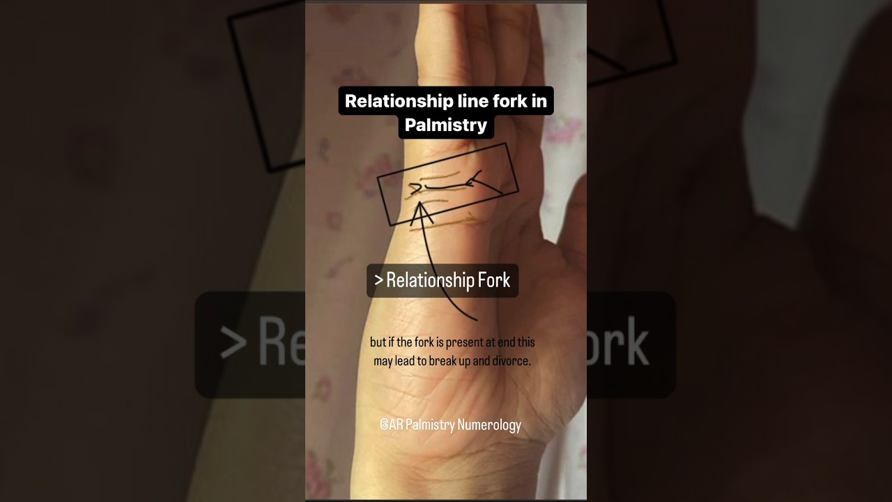 Relationship line fork in Palmistry #palmistry #palmreading #love #marriage #money