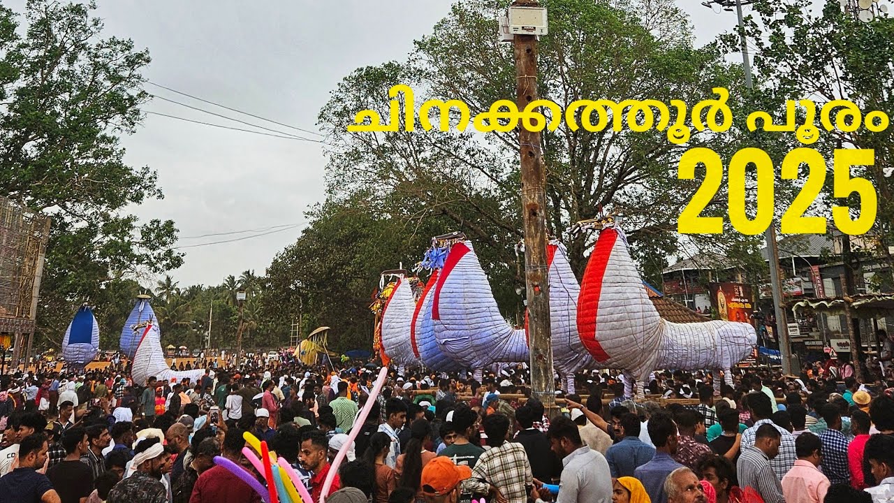 ചിനക്കത്തൂർ പൂരത്തിന്റെ വിവിധ കമ്മിറ്റികളുടെ കാഴ്ചകളും കൂടെ വാദ്യങ്ങളും🔥😍| Chinakkathoor Pooram 2025