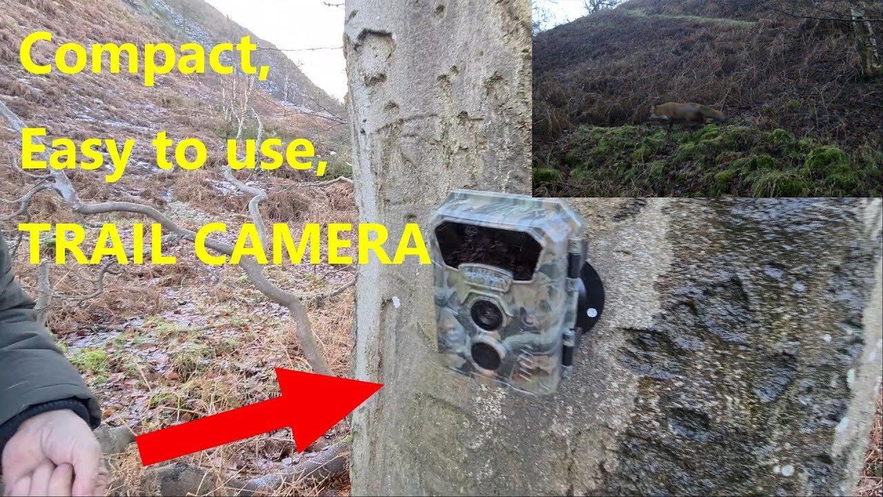 Mini Trail Camera Review