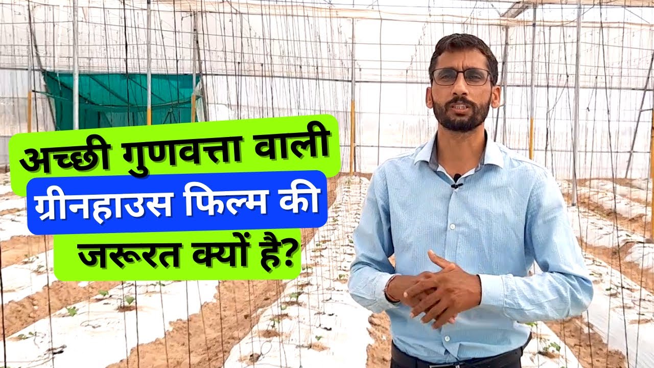Why Good quality greenhouse film is needed. अच्छी गुणवत्ता वाली ग्रीनहाउस फिल्म की जरूरत क्यों है?