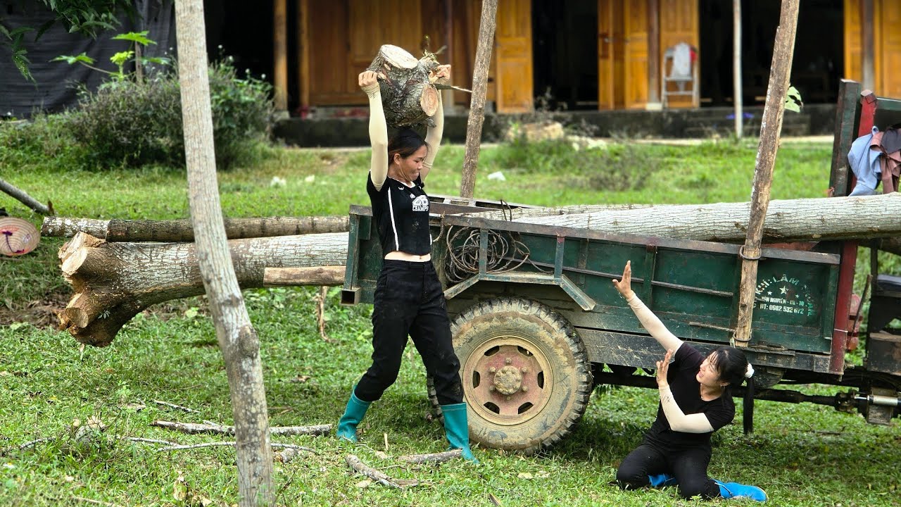 Agricultural vehicle,two sisters arguing while exploiting and transporting wood 😱#agricultural#wood.