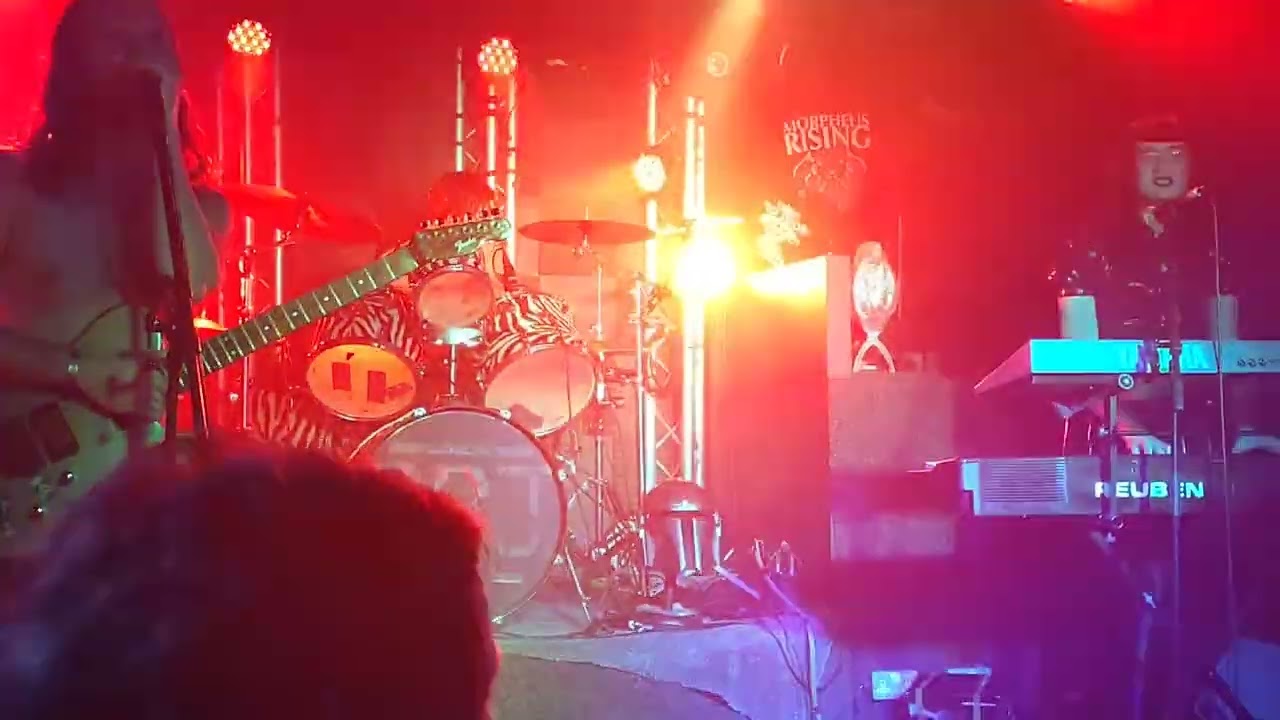 Big Rooster Jeff - Forino