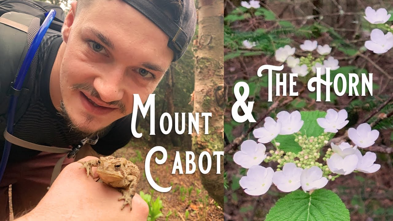 NH48: Cabot + The Horn - We caught many frogs!