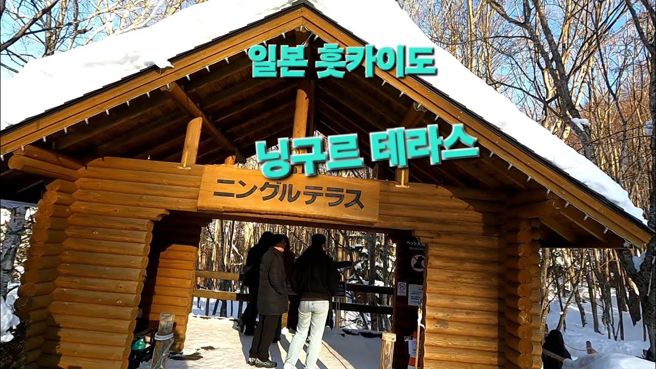 훗카이도 닝구르 테라스/일본북해도#travel /구독좋아요 