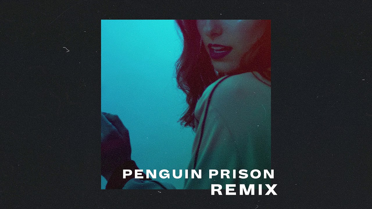 Down Low (Penguin Prison Remix)