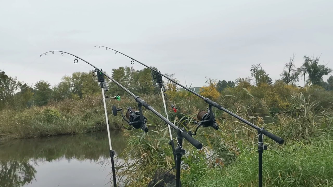 #Branie#karpia#carp#run#karp#karpfen# Branie karpia fajny odjazd
