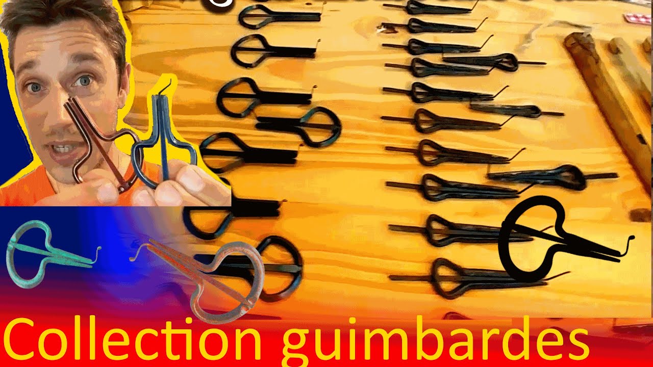 Collection 108 Guimbardes: trucs et astuces, conseils, qualité